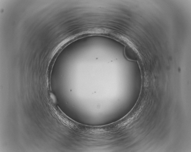 X0000062670837200601041007