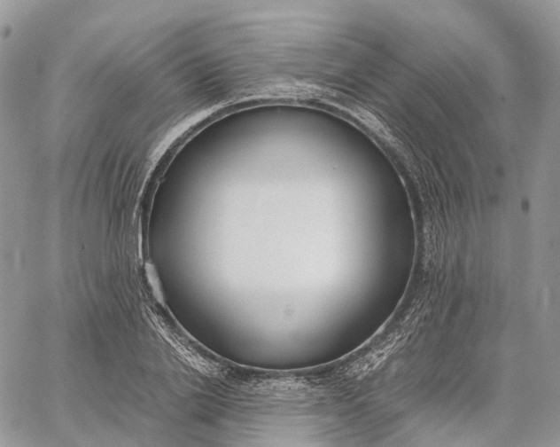 X0000062670838200601041007