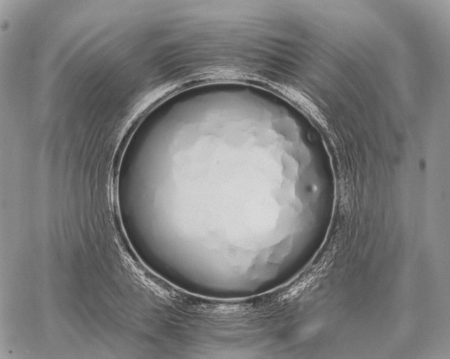 X0000062670839200601041007