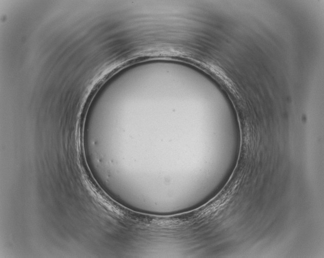 X0000062670840200601041007