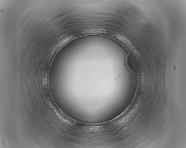 X0000062670841200601041007