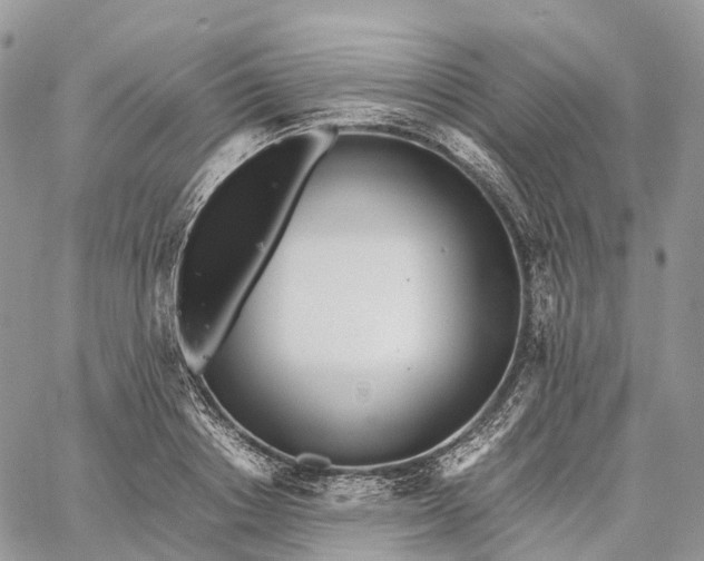 X0000062670842200601041007