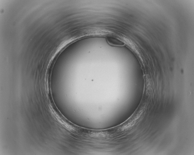 X0000062670843200601041007