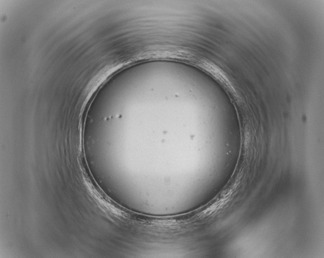 X0000062670844200601041007