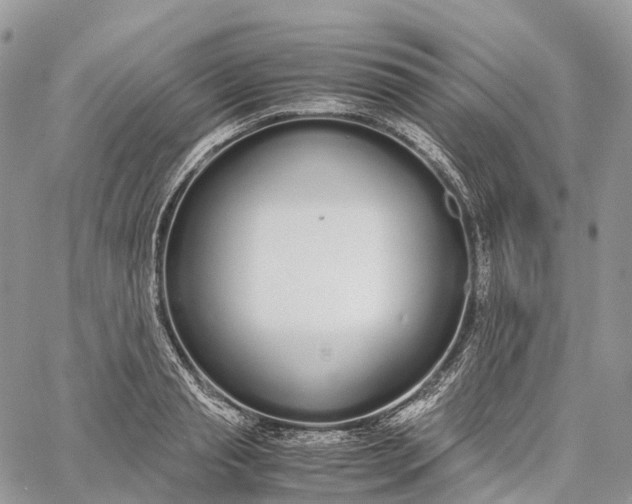 X0000062670845200601041007