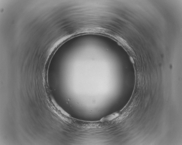 X0000062670846200601041007