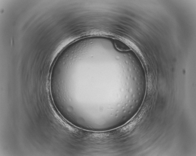 X0000062670847200601041008