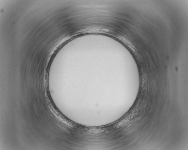 X0000062670848200601041008