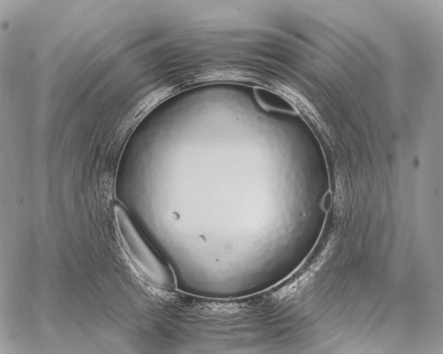 X0000062670849200601041008