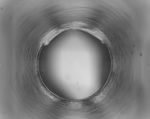 X0000062670850200601041008