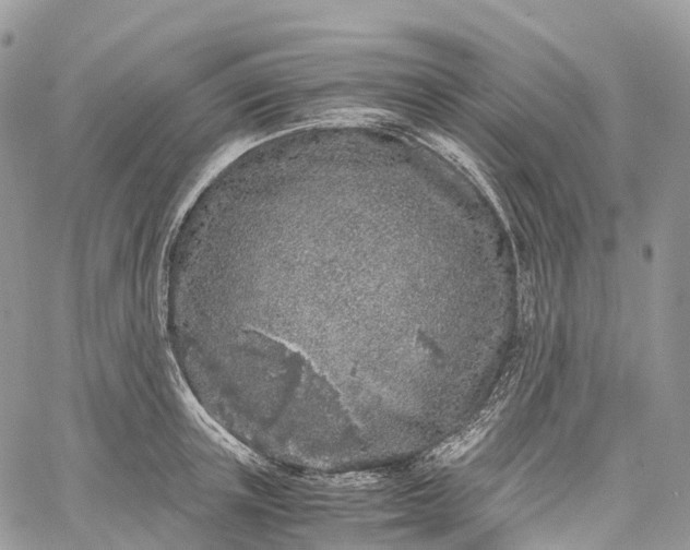 X0000062670851200601041008