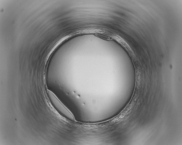 X0000062670852200601041008