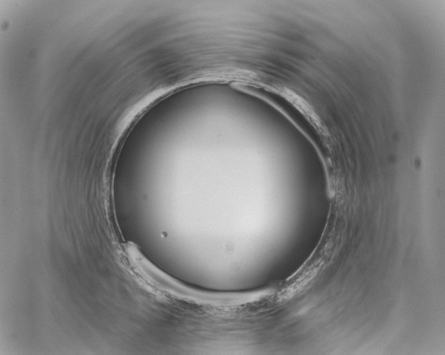 X0000062670854200601041008