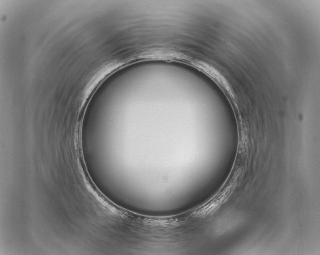 X0000062670855200601041008