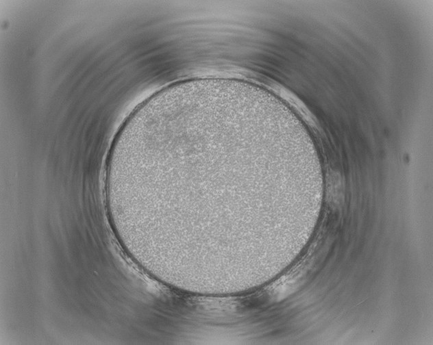 X0000062670856200601041008