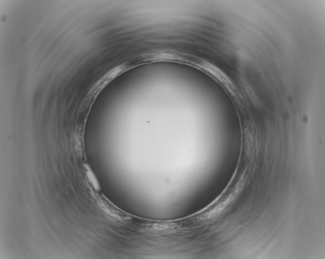 X0000062670857200601041008