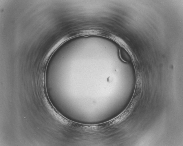 X0000062670859200601041008