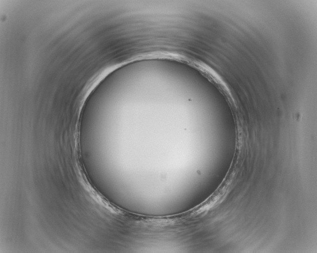 X0000062670860200601041008