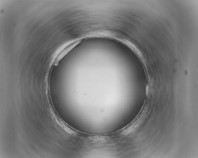 X0000062670862200601041008