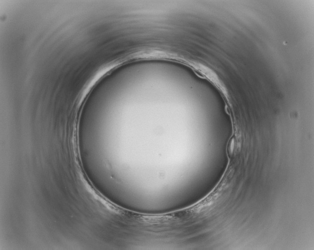 X0000062670863200601041008