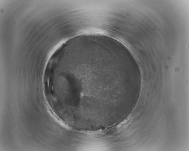 X0000062670864200601041008