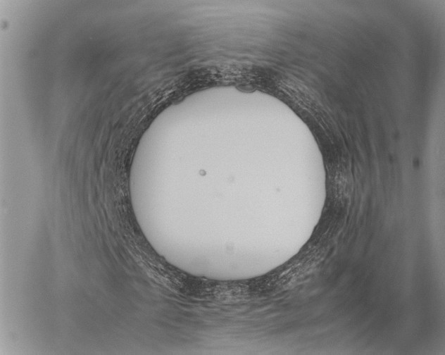 X0000062670865200601041007