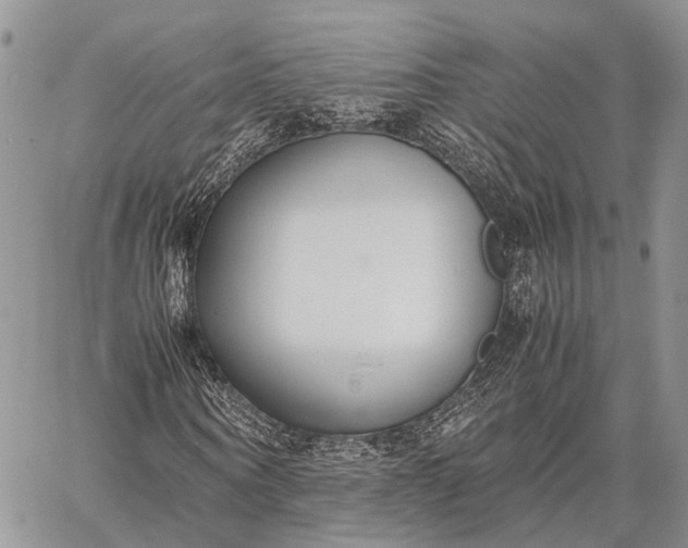 X0000062670866200601041007