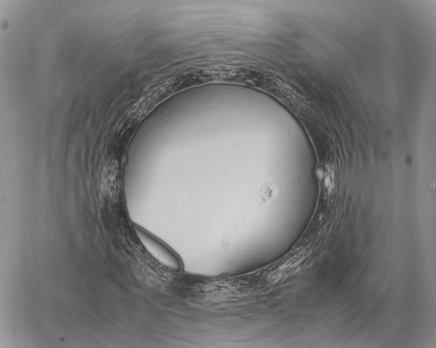 X0000062670867200601041007