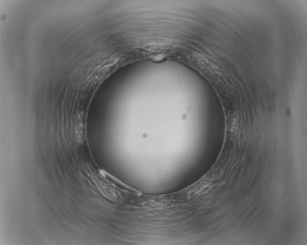 X0000062670868200601041007