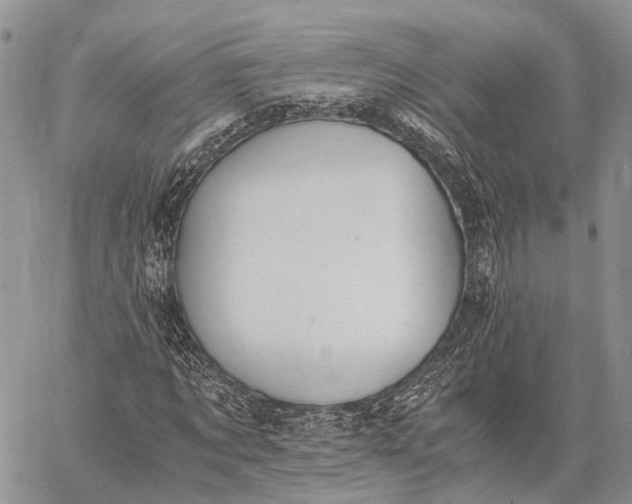 X0000062670869200601041007