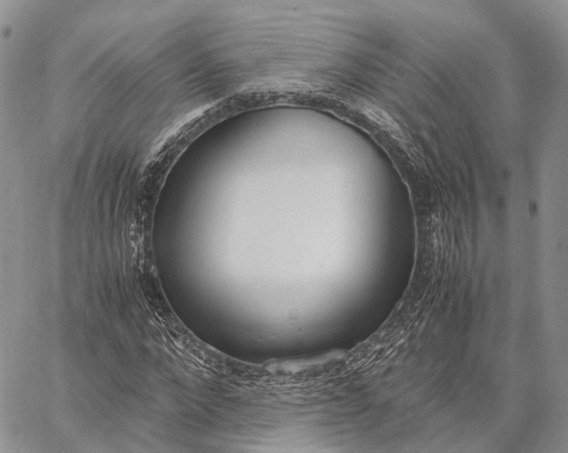 X0000062670872200601041007