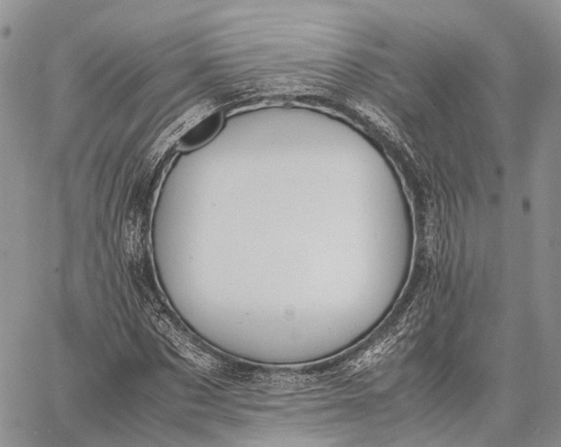 X0000062670873200601041007