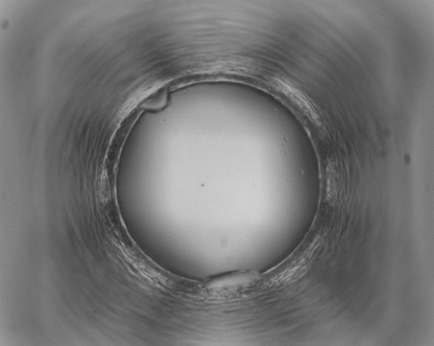 X0000062670876200601041007