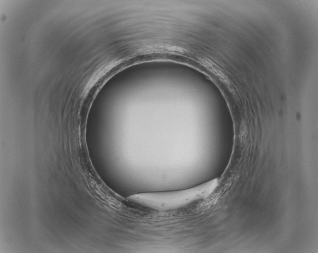 X0000062670877200601041007