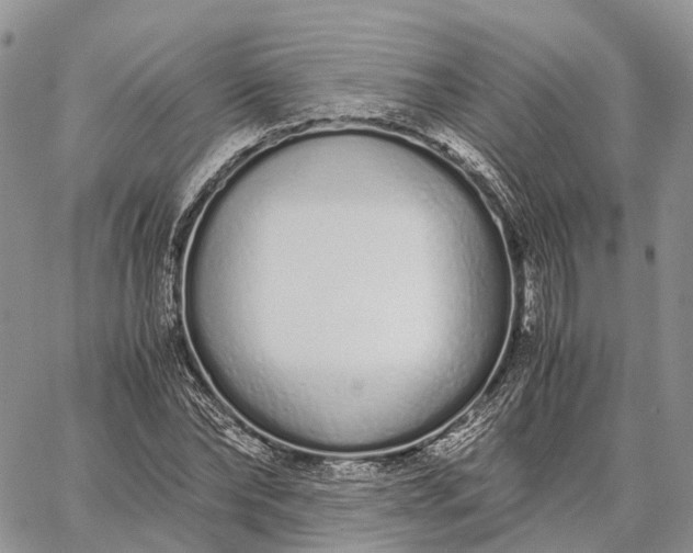 X0000062670878200601041007