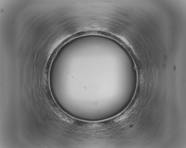 X0000062670879200601041007