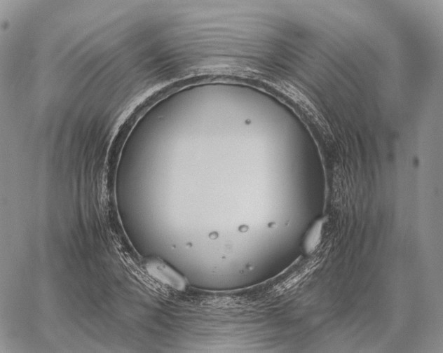 X0000062670880200601041007