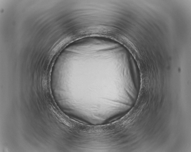 X0000062670882200601041007