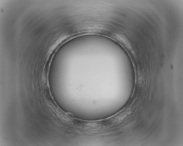 X0000062670883200601041007