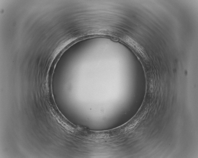 X0000062670884200601041007