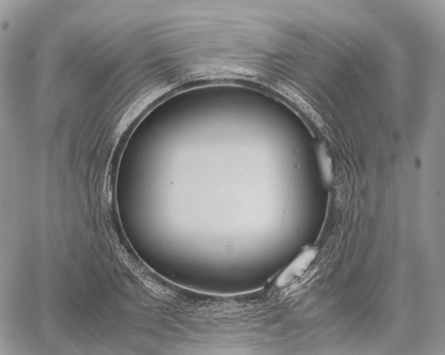 X0000062670885200601041007