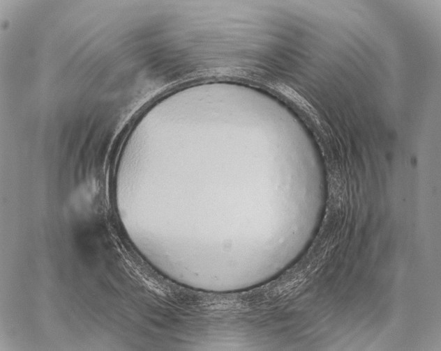 X0000062670886200601041007