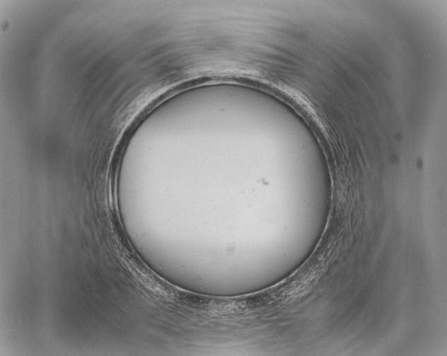 X0000062670887200601041007