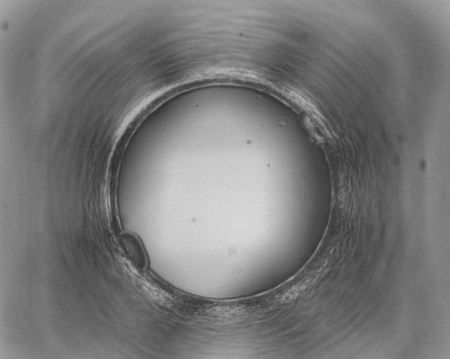 X0000062670888200601041007