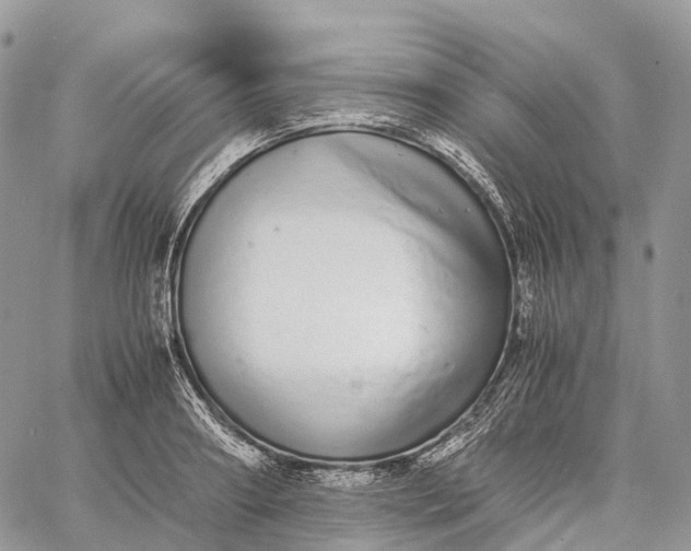 X0000062670890200601041007