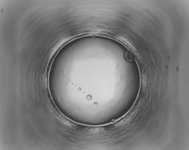 X0000062670891200601041007