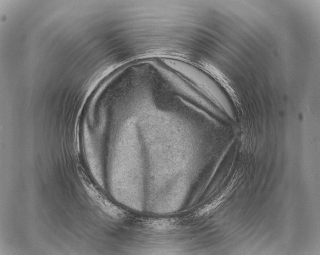 X0000062670892200601041007