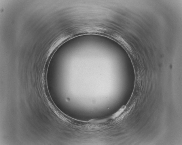 X0000062670893200601041007