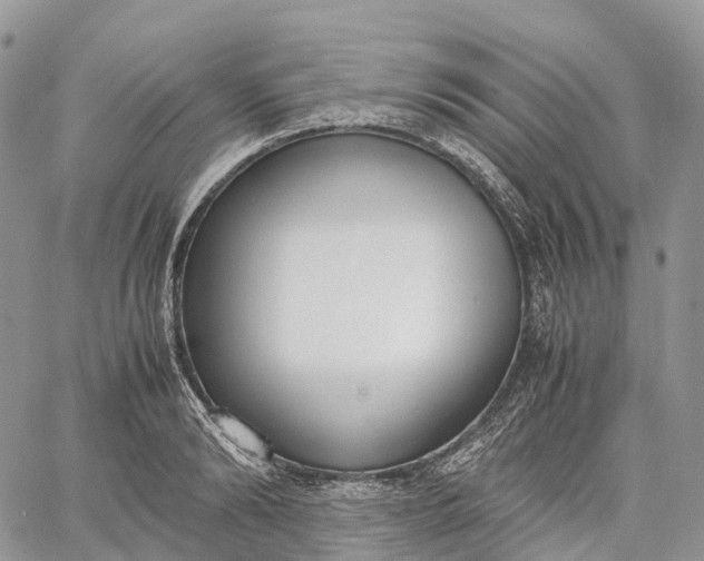 X0000062670894200601041006