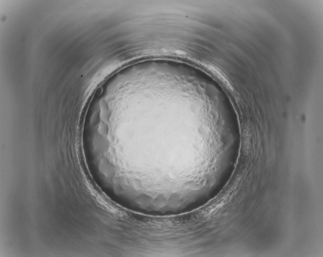 X0000062670895200601041006